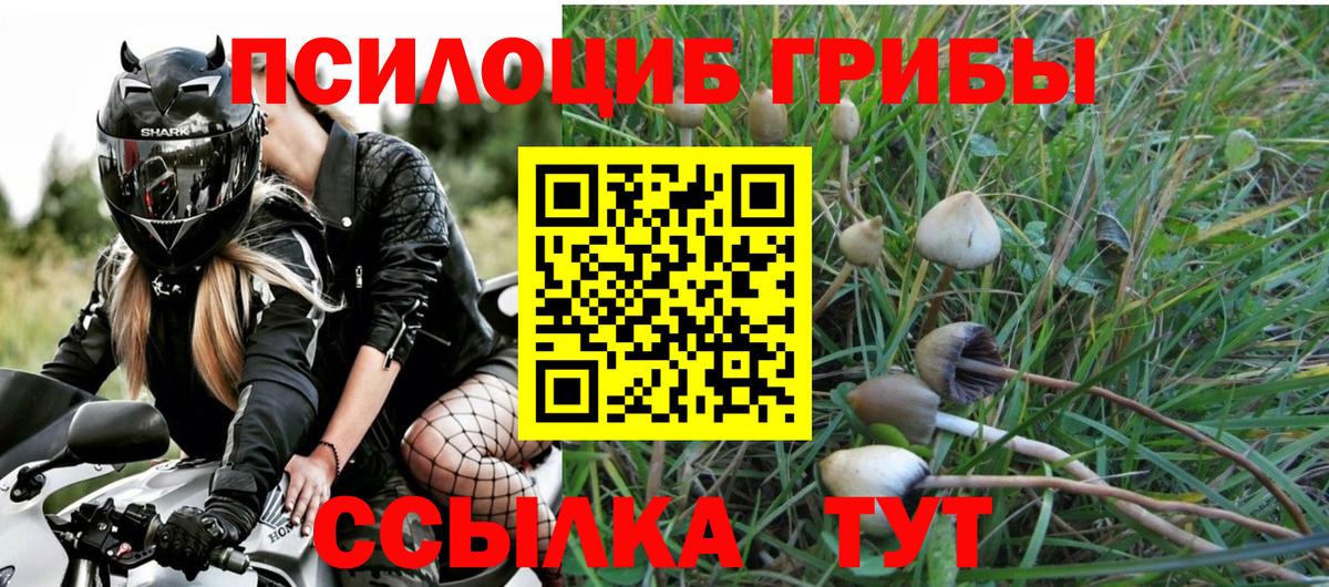 Псилоцибиновые грибы MAGIC MUSHROOMS  Вход с VPN  Сызрань  Псилоцибиновые грибы MAGIC MUSHROOMS 